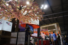 BIT 2014- Stand Giappone